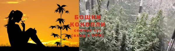 гидра Киренск