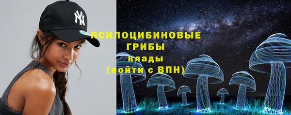 гидра Киренск