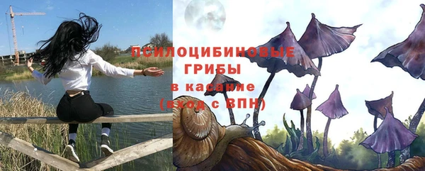 apvp Кинешма