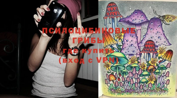 apvp Кинешма
