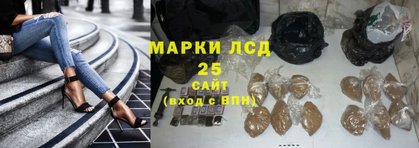 гидра Киренск