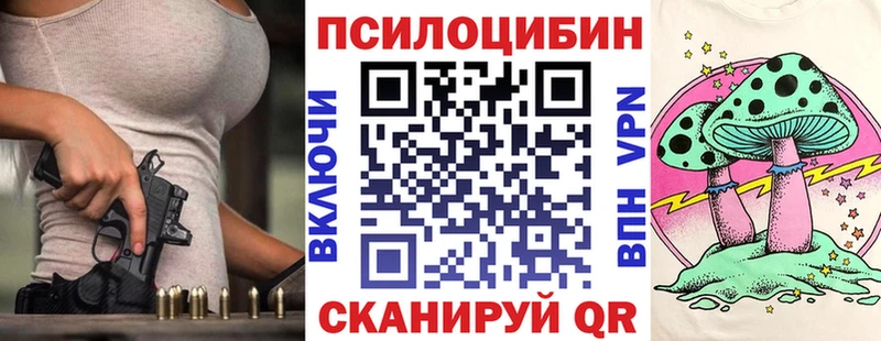 Галлюциногенные грибы Psilocybine cubensis  Купить  Омутнинск 